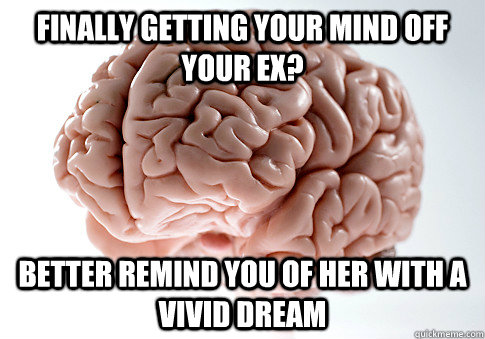 finally getting your mind off your ex? better remind you of her with a vivid dream  Scumbag Brain