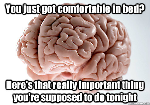 You just got comfortable in bed? Here's that really important thing you're supposed to do tonight  Scumbag Brain