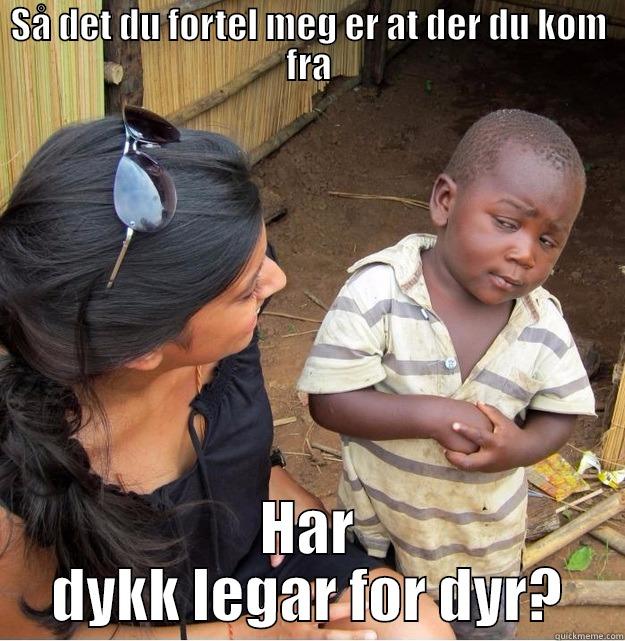 SÅ DET DU FORTEL MEG ER AT DER DU KOM FRA HAR DYKK LEGAR FOR DYR? Skeptical Third World Kid