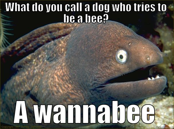 WHAT DO YOU CALL A DOG WHO TRIES TO BE A BEE? A WANNABEE Bad Joke Eel