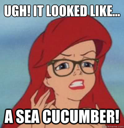 Ugh! It looked like... a SEA CUCUMBER!  Hipster Ariel