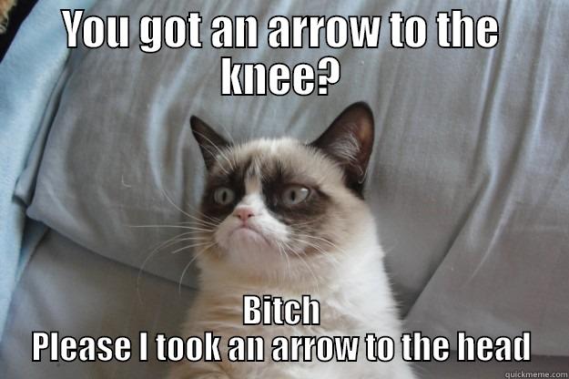 YOU GOT AN ARROW TO THE KNEE? BITCH PLEASE I TOOK AN ARROW TO THE HEAD Grumpy Cat