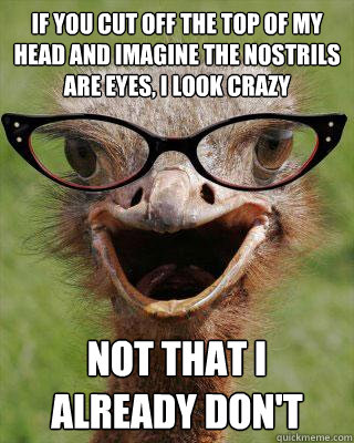 if you cut off the top of my head and imagine the nostrils are eyes, i look crazy not that i already don't  Judgmental Bookseller Ostrich