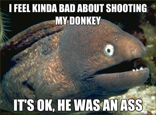 I feel kinda bad about shooting my donkey It's ok, he was an ass   Bad Joke Eel