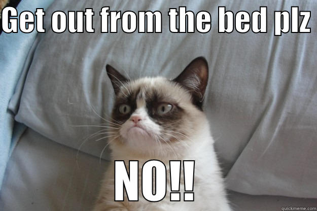 GET OUT FROM THE BED PLZ  NO!! Grumpy Cat