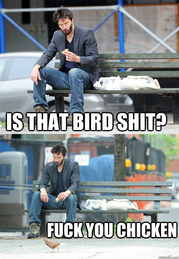 Is that bird shit? Fuck you chicken  Sad Keanu