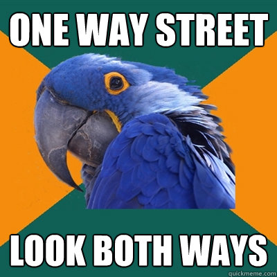 One Way Street look both ways - One Way Street look both ways  Paranoid Parrot