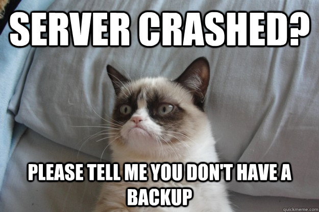 Server Crashed? Please tell me you don't have a backup - Server Crashed? Please tell me you don't have a backup  Misc