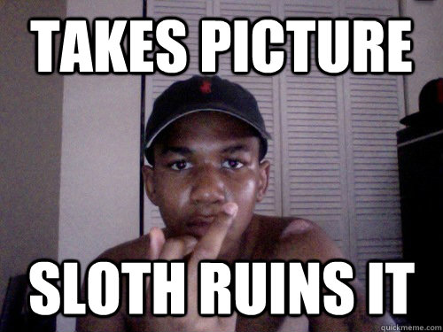 takes picture sloth ruins it  angry black kid