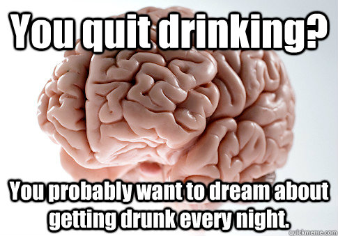 You quit drinking? You probably want to dream about getting drunk every night.  - You quit drinking? You probably want to dream about getting drunk every night.   Scumbag Brain