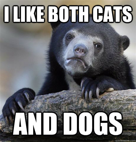 I like both cats and dogs  Confession Bear