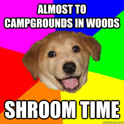 almost to campgrounds in woods shroom time  Advice Dog