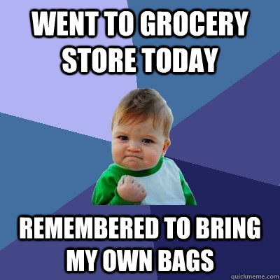 Went to grocery store today Remembered to bring my own bags  Success Kid