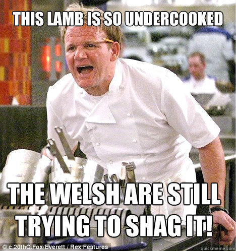 This Lamb is so undercooked The Welsh are still trying to shag it!  gordon ramsay