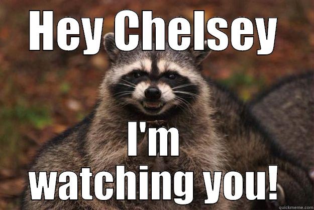 Hey Chelsey - HEY CHELSEY I'M WATCHING YOU! Evil Plotting Raccoon