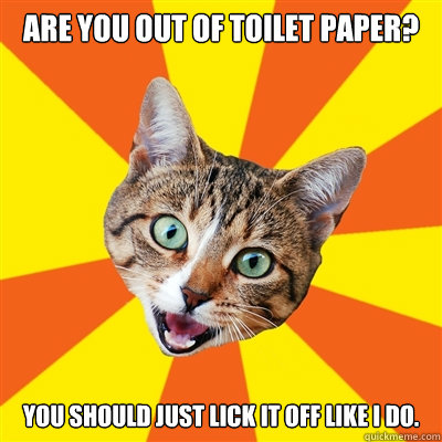 Are you out of toilet paper? You should just lick it off like I do.  Bad Advice Cat