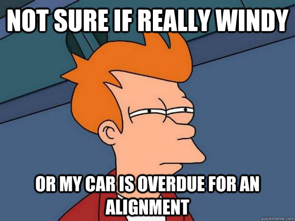 Not sure if really windy  Or my car is overdue for an alignment  Futurama Fry