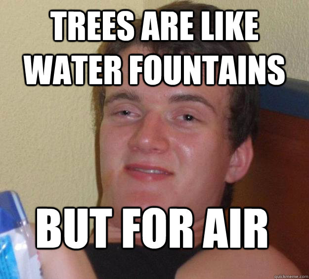 trees are like water fountains  but for air
  10 Guy