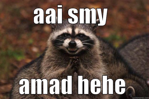 AAI SMY  AMAD HEHE Evil Plotting Raccoon