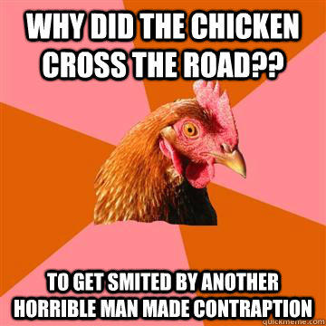 why did the chicken cross the road?? to get smited by another horrible man made contraption   Anti-Joke Chicken