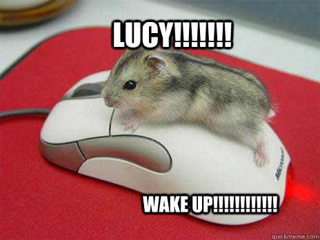 Lucy!!!!!!! wake up!!!!!!!!!!!! - Lucy!!!!!!! wake up!!!!!!!!!!!!  funny mouse1