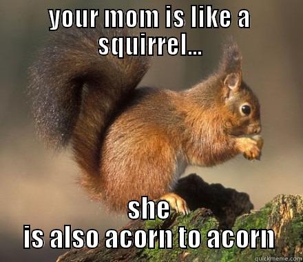 YOUR MOM IS LIKE A SQUIRREL... SHE IS ALSO ACORN TO ACORN Misc