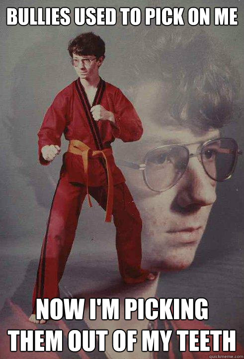 bullies used to pick on me now i'm picking them out of my teeth - bullies used to pick on me now i'm picking them out of my teeth  Karate Kyle