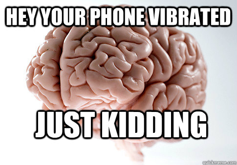 Hey Your phone vibrated just kidding   Scumbag Brain