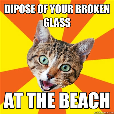 Dipose of your broken glass At the beach  Bad Advice Cat