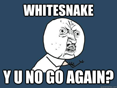 Whitesnake Y u no go again?  Y U No