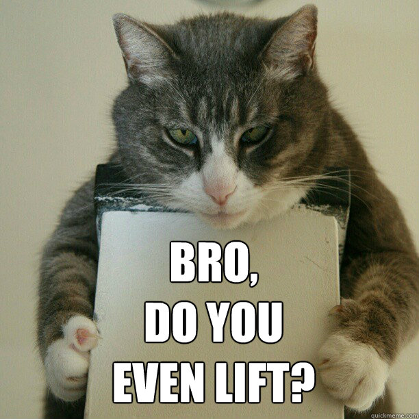 swole cat BRO,
DO YOU 
EVEN LIFT?  swole cat