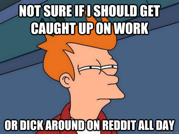 not sure if i should get caught up on work or dick around on reddit all day  Futurama Fry