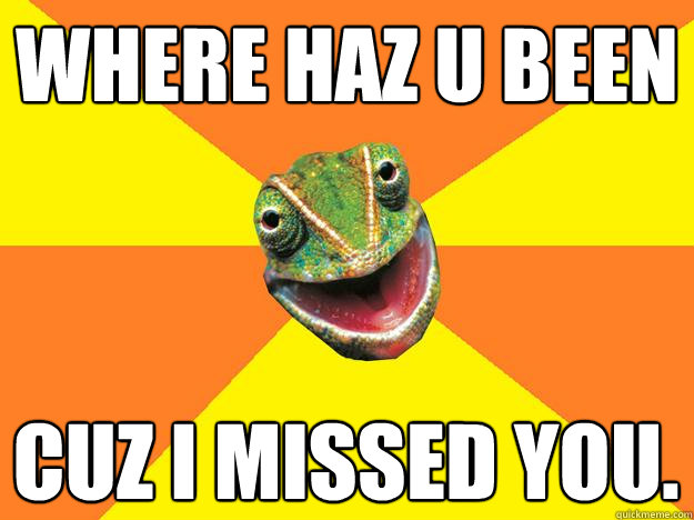 where haz u been cuz i missed you.  Karma Chameleon