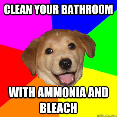 Clean your bathroom With ammonia and bleach  Advice Dog