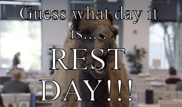 GUESS WHAT DAY IT IS..... REST DAY!!! Misc