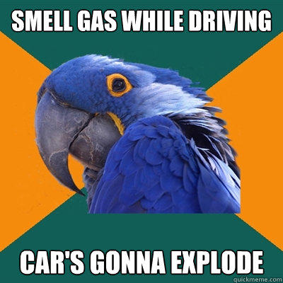 smell gas while driving car's gonna explode - smell gas while driving car's gonna explode  Paranoid Parrot