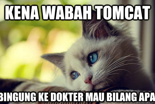 kena wabah tomcat bingung ke dokter mau bilang apa  First World Problems Cat