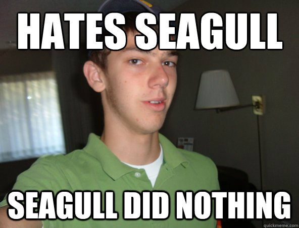 hates seagull seagull did nothing  fak u pie