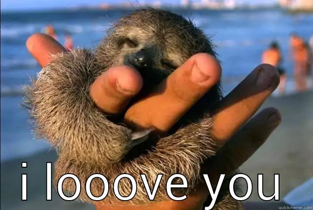 Cuddles the baby sloth -  I LOOOVE YOU Misc