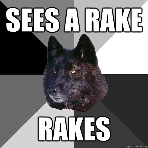 Sees a rake Rakes  Sanity Wolf