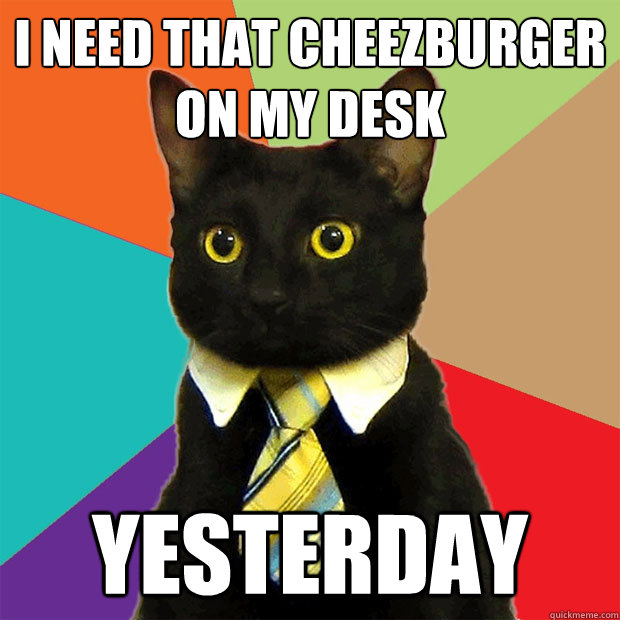 I need that cheezburger on my desk Yesterday  Business Cat