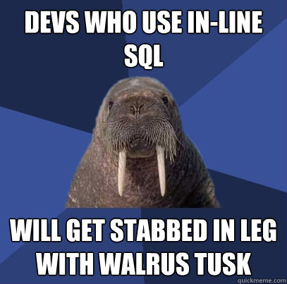 devs who use in-line SQL will get stabbed in leg with walrus tusk  Web Developer Walrus