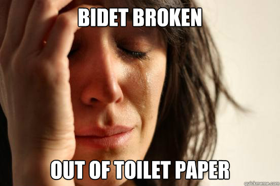 Bidet broken out of toilet paper  First World Problems