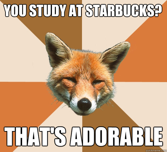 You study at Starbucks? That's adorable  Condescending Fox