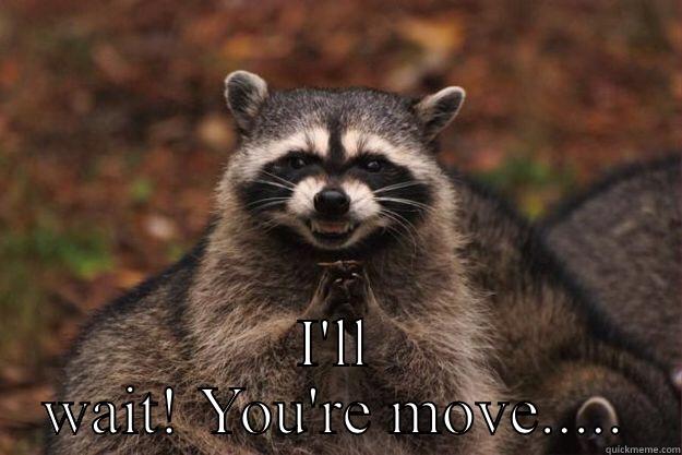  I'LL WAIT! YOU'RE MOVE..... Evil Plotting Raccoon