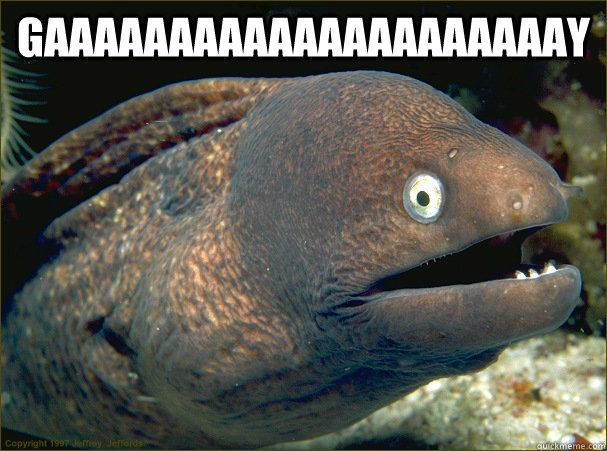 GAAAAAAAAAAAAAAAAAAAAAY  - GAAAAAAAAAAAAAAAAAAAAAY   Bad Joke Eel