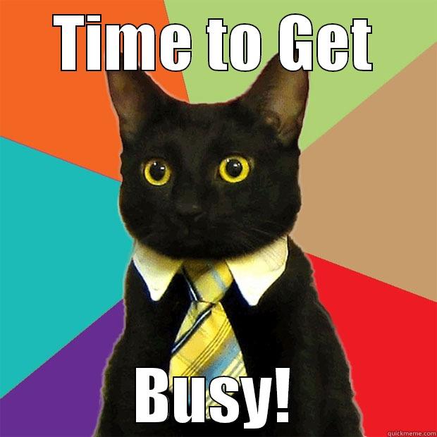 Busy Cat - TIME TO GET BUSY! Business Cat