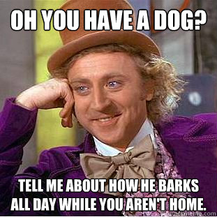 Oh you have a dog? Tell me about how he barks all day while you aren't home. - Oh you have a dog? Tell me about how he barks all day while you aren't home.  Condescending Wonka