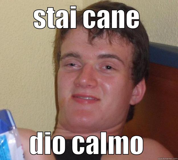 stai cane dio calmo - STAI CANE DIO CALMO 10 Guy