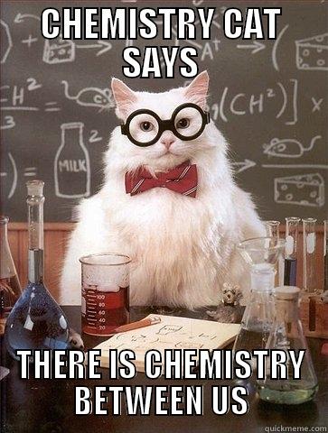 CHEMISTRY CAT SAYS THERE IS CHEMISTRY BETWEEN US Chemistry Cat